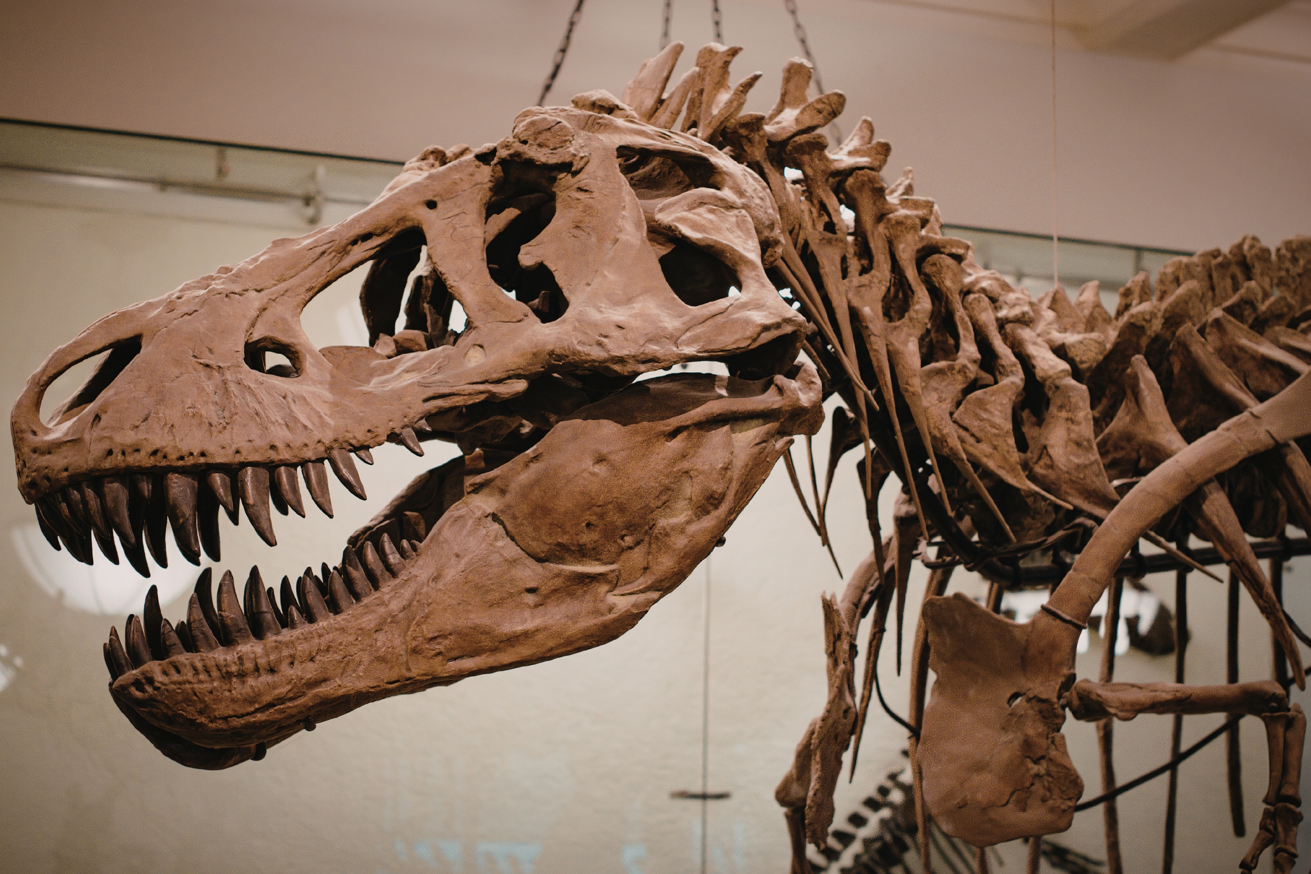 Mind-Bending Museums The Most Immersive, Interactive, Perspective-Shattering Entertainment Experiences That Actually Teach You Something Real and Lasting